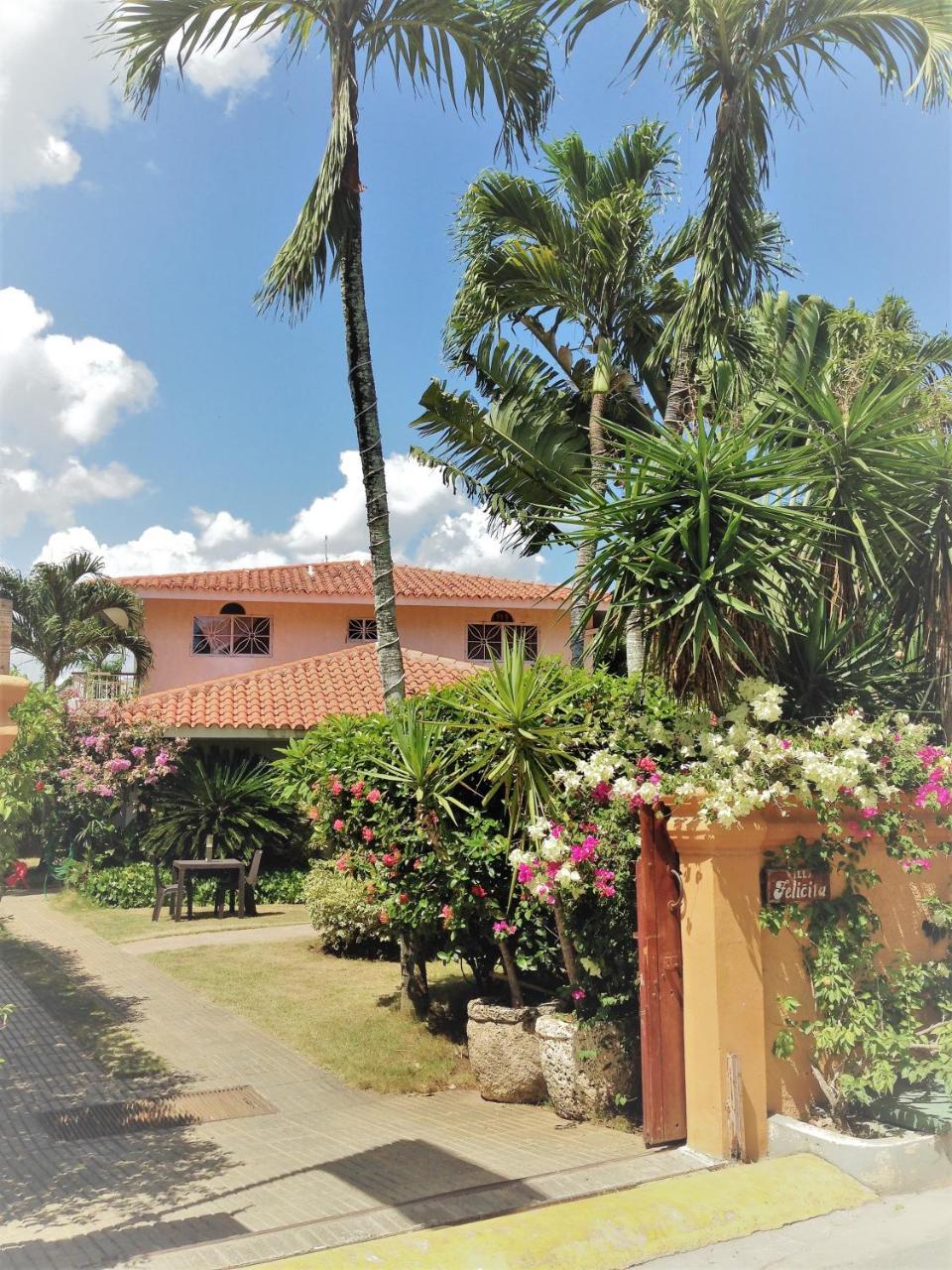 Casa Felicita B&B Y Apartamentos Bayahibe Esterno foto